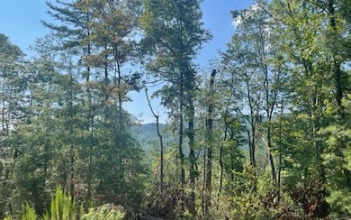 Additional View