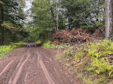 0 Alma Hill Rd unit LotWP001 24749380, Alma, NY 14895 - photo 2