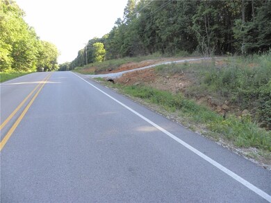 10 AC Highway 16, Crosses, AR 72727 - photo 7