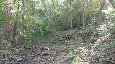 0000 Kidwell Ridge Rd, Morristown, TN 37814 - photo 3