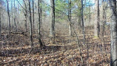 Lot 3 Ferry Rd, Grantsburg Township, WI 54840 - photo 6