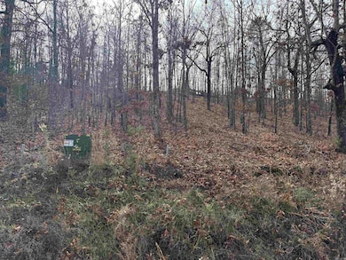 Tract 93 Vernon Ct, Austin, AR 72007 - photo 2