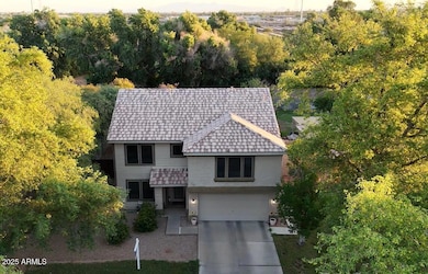 Aviary front overhead