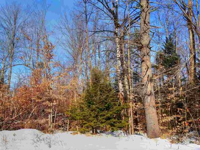 Winter Scene 3
