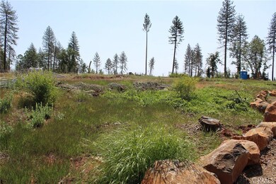 686 Bille Rd, Paradise, CA 95969 - photo 6
