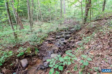 8024 Tabletop Mountain Rd, Dyke, VA 22935 - photo 3