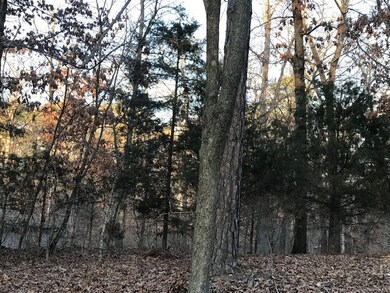 Lot 4 Block 6 Wreay Ln, Bella Vista, AR 72714 - photo 4