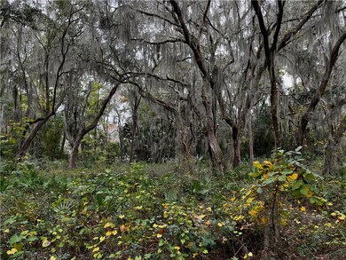 Lot 21 Doboy Ct, Darien, GA 31305 - photo 6