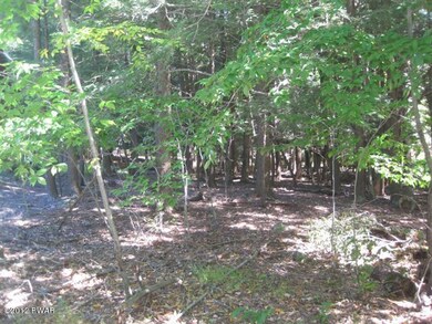 30 Red Hawk Dr, Paupack Township, PA 18436 - photo 5