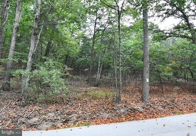 Lot 100 McCubbins Hollow Rd, Gerrardstown, WV 25420 - photo 4