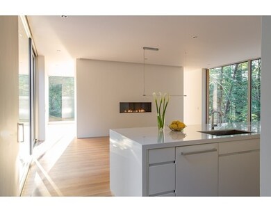 207 Old Concord Rd, Lincoln, MA 01773 - photo 5