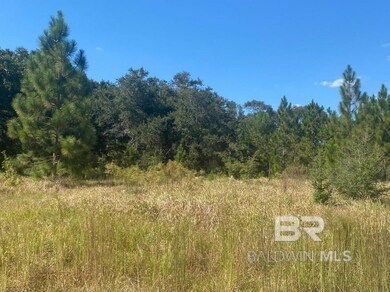 0 Hampton Rd unit 31 376099, Mobile, AL 36608 - photo 3