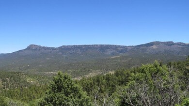 IMG_3924