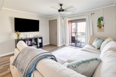 Living area featuring ornamental molding, baseboar