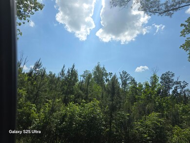 0 Millsap Rd unit 1511978, La Fayette, GA 30728 - photo 5