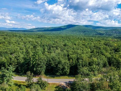 00 Governor Wentworth Hwy unit 160/002/000, Moultonboro, NH 03254 - photo 6