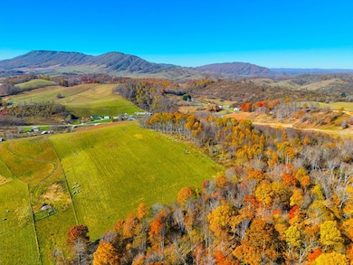 37.55 ac B F Buchanan Highway Quarter Horse Cir, Tazewell, VA 24608 - photo 7