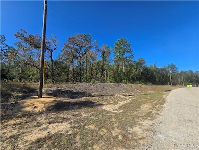 11136 N Vesta Point, Dunnellon, FL 34434 - photo 2