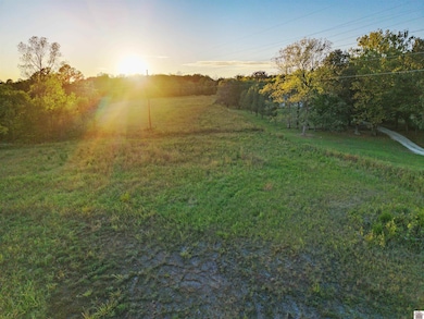 000 N Jefferson St, Princeton, KY 42445 - photo 7