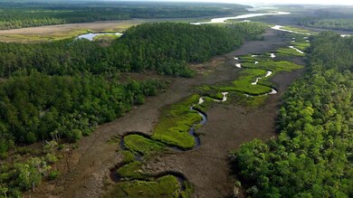 0 Georgetown Rd, Brunswick, GA 31523 - photo 7