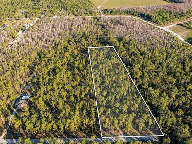 XXXX 2nd Ave SE, Naples, FL 34117 - photo 6