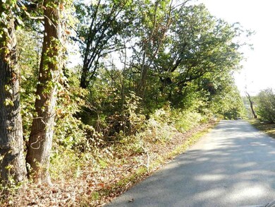 Tbd Hoot Owl Point, Ruth B Rural Township, MO 65686 - photo 7