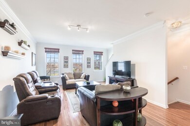 25087 Francisco Terrace, Chantilly, VA 20152 - photo 5