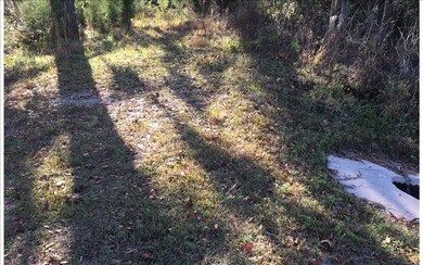 286 Waldo St, Lake City, FL 32055 - photo 2