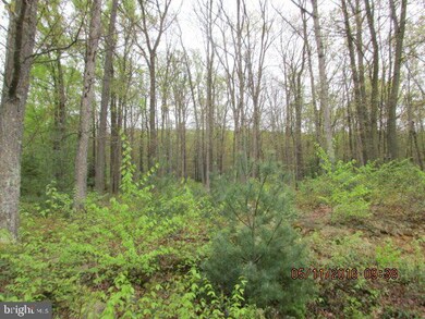 9756 State Route 209, Williamstown, PA 17098 - photo 7