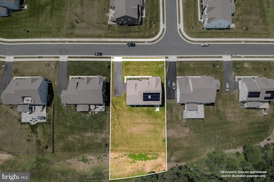 7386 Sugar Magnolia Loop, Gainesville, VA 20155 - photo 3