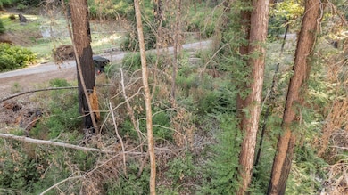 Lot 04 Boulder Brook Dr, Boulder Creek, CA 95006 - photo 7