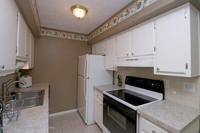 2024 Hamilton Rd unit 206 Unit 7, Okemos, MI 48864 - photo 5