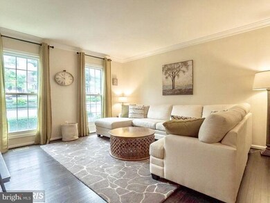 5003 Domain Place, Alexandria, VA 22311 - photo 4