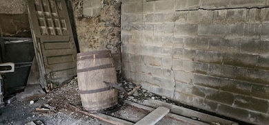 3636 Mill St, Dundee, NY 14837 - photo 4