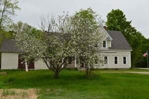 Large Yard