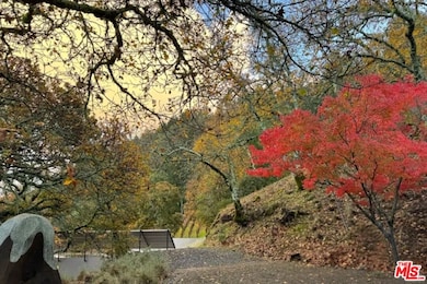 351 Wall Rd, Napa, CA 94558 - photo 3