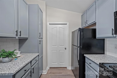 17178 Red Feather Dr unit 17178, Charlotte, NC 28277 - photo 7