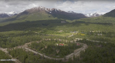 10688 Hatcher's Flight Loop, Palmer, AK 99645 - photo 4