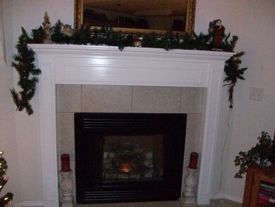 Picture 005