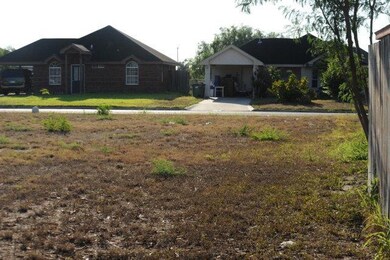 839 N 7 1 2 St, Alamo, TX 78516 - photo 2