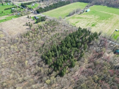 1275 Castle Rd, Newport, NY 13416 - photo 5