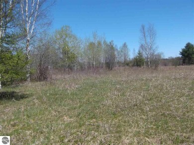 00 Putnam Rd, Hale, MI 48739 - photo 5