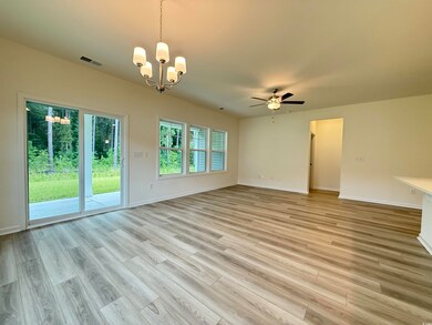 316 Palmetto Sand Loop unit Lot 13 Bailey D, Conway, SC 29527 - photo 5