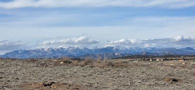 8257 St Hwy 172, Ignacio, CO 81137 - photo 3