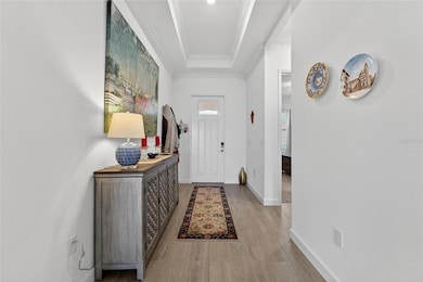 17216 Scuba Crest St, Wimauma, FL 33598 - photo 3