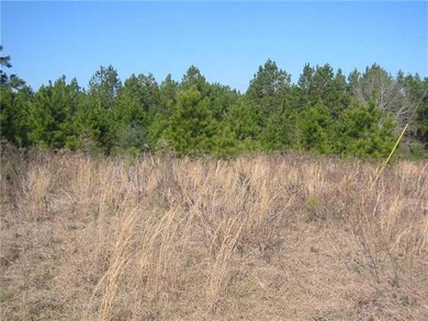 0 Cleve Kennedy Rd, Franklinton, LA 70438 - photo 3