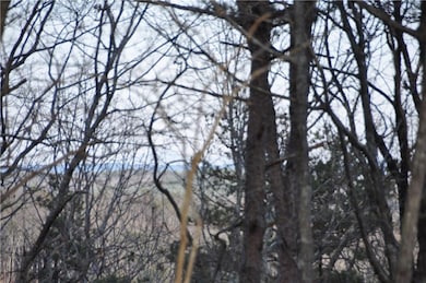 View of local wilderness
