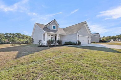 CREM - 3524 Great Egret + Aerials-58