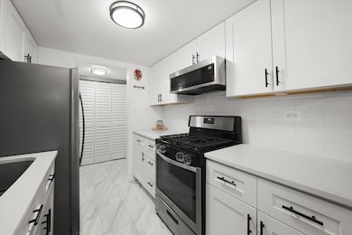 7920 Woodglen Ln unit 207, Downers Grove, IL 60516 - photo 2