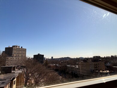 Washington on the Square unit 1102, Brookline, MA 02446 - photo 6